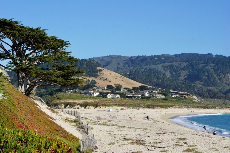 Fun Activities To Do on The Monterey Peninsula in Spring