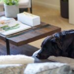 Inspiring Ideas To Elevate Your Home & Life from World-Renowned Feng Shui Master Marie Diamond World-Renowned-Feng-Shui-Master-Marie-Diamond-Shares-Inspiring-Ideas-To-Elevate-Your-Home-Life-1