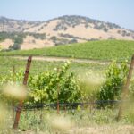 Discover-Calistogas-Chic-New-Luxury-Resort-New-Hotspots-in-Napa-Valley-1