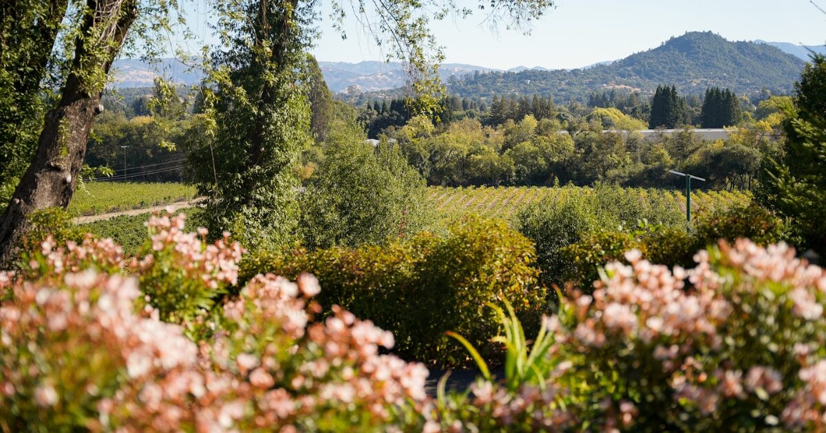 27 Enchanting Autumn Events & Festivals Happening in October Around The ...