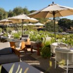 Where To Eat in Sonoma Valley - 3 Gourmet Restaurants That Elevate The Dining Experience in Healdsburg California 3-Gourmet-Restaurants-That-Elevate-The-Dining-Experience-in-Healdsburg-California-1