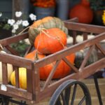 Charming-Fall-Festivals-Unique-Pumpkin-Patches-That-Are-Fun-For-Families-1