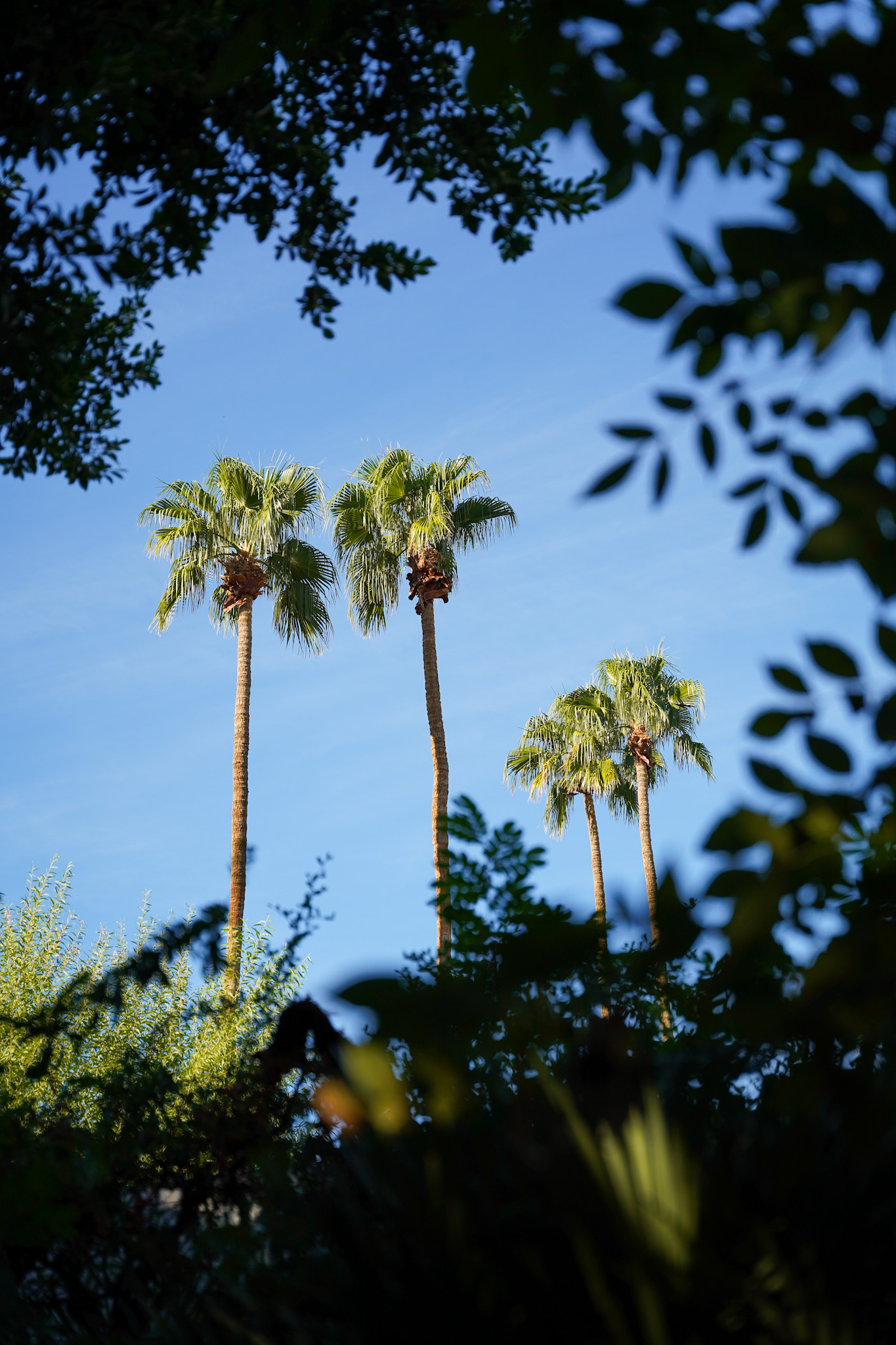 Inside the SHEdrives a Lambo Experience - Lamborghini’s Daring Dream Drive in the California Desert - Parker Palm Springs - Image credit Christina-Lauren Pollack