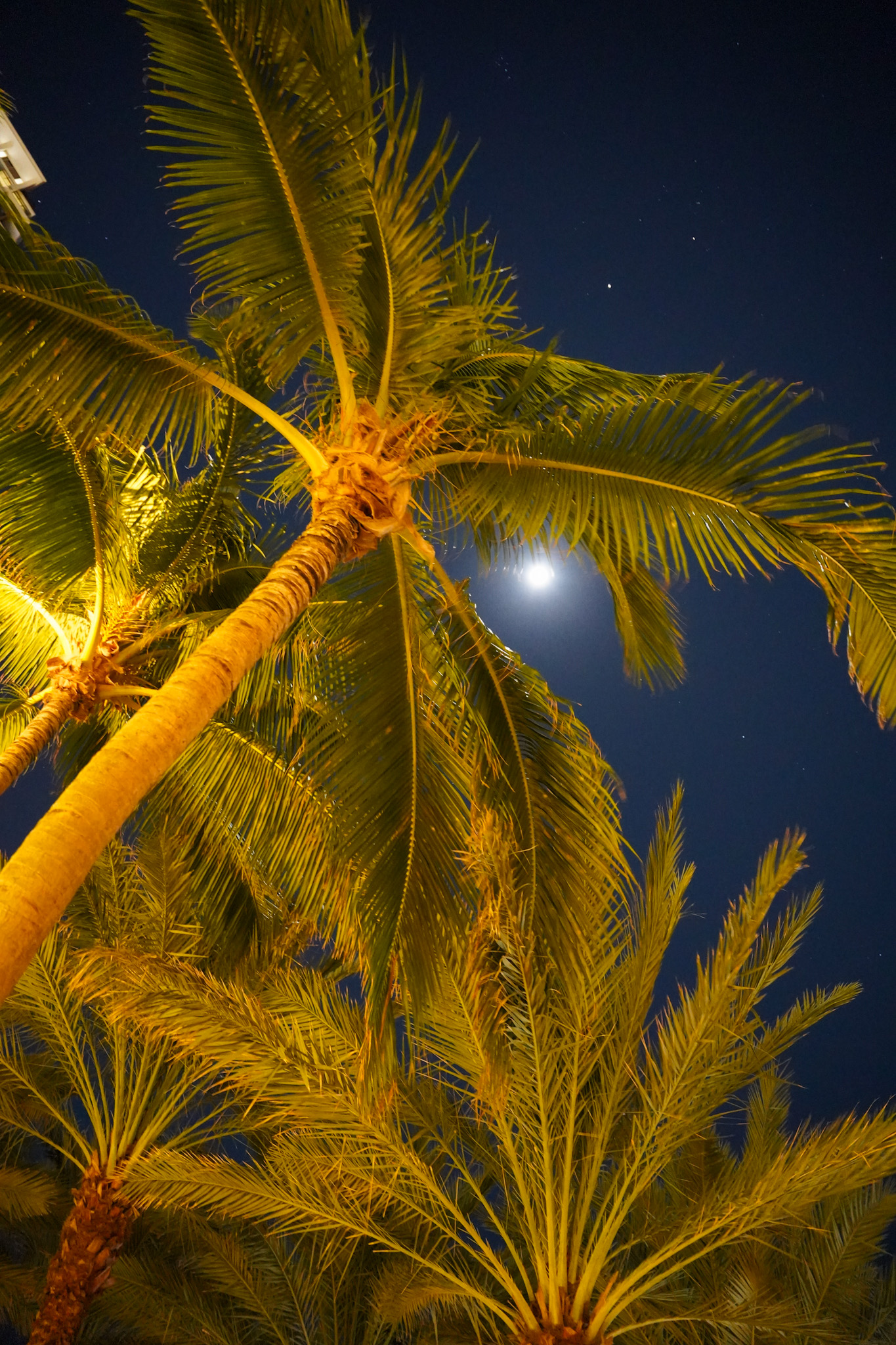 Inside Miami Art Week - Where Luxury Houses and Creative Visionaries Defined the Season - Photo by Christina-Lauren Pollack