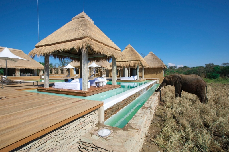 Top 10 Tripadvisor Travelers’ Choice Awards for the Best Luxury Hotels to Visit in 2026 - Kapama River Lodge