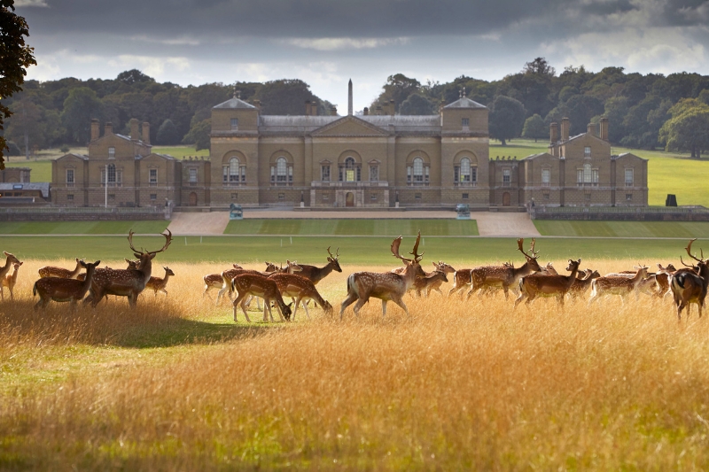 Bridgerton-Inspired Travel_ Explore Castles & Grand European Estates - Image credit Holkham Estate