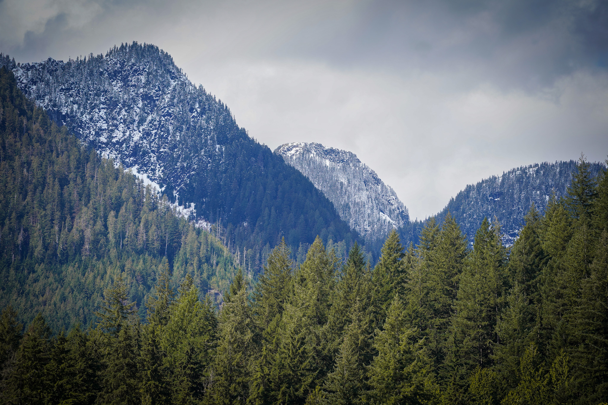Defender Trophy Competition Unleashed Grit & Glory in British Columbia's Untamed Wilderness - Image credit Christina-Lauren Pollack