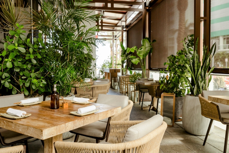 Miami Grand Prix 2026 Guide_ Where to Stay, Dine, and Experience F1 Race Weekend - Image credit Osaka Nikkei