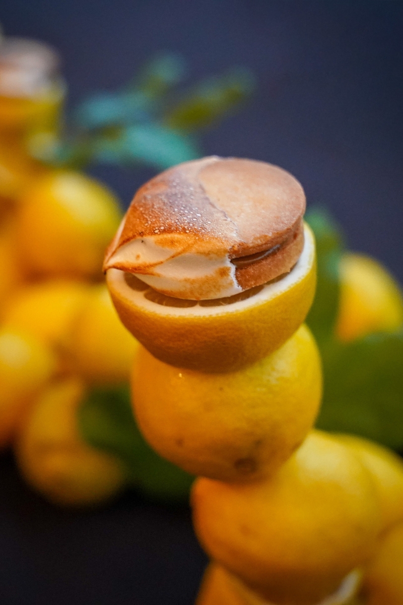 Pebble Beach Food & Wine Festival Uncorked a New Level of Excellence at Its 15th Year Celebration - Image credit Christina-Lauren Pollack