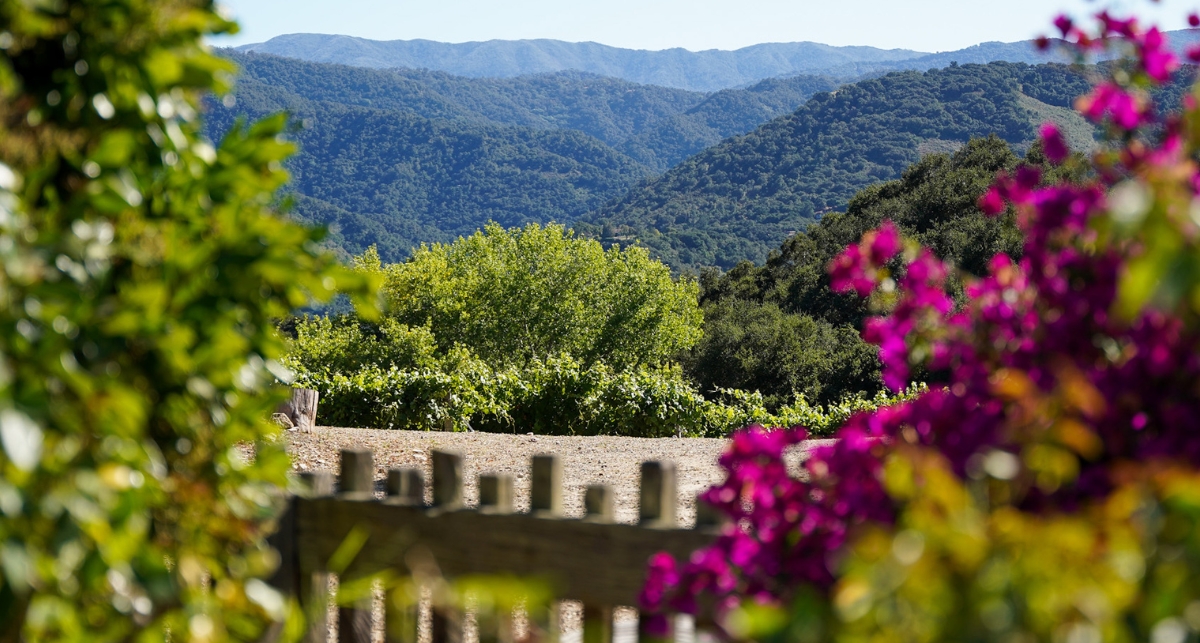 Dawn's Dream Winery Hosts Its First Summer Solstice Farm-to-Table Dinner in Carmel Valley - Image credit Christina-Lauren Pollack