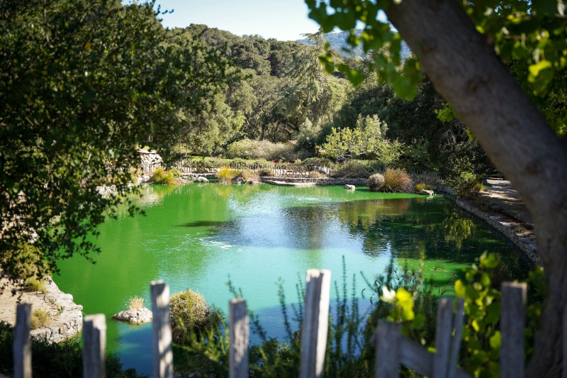 Dawn's Dream Winery Hosts Its First Summer Solstice Farm-to-Table Dinner in Carmel Valley - Image credit Christina-Lauren Pollack
