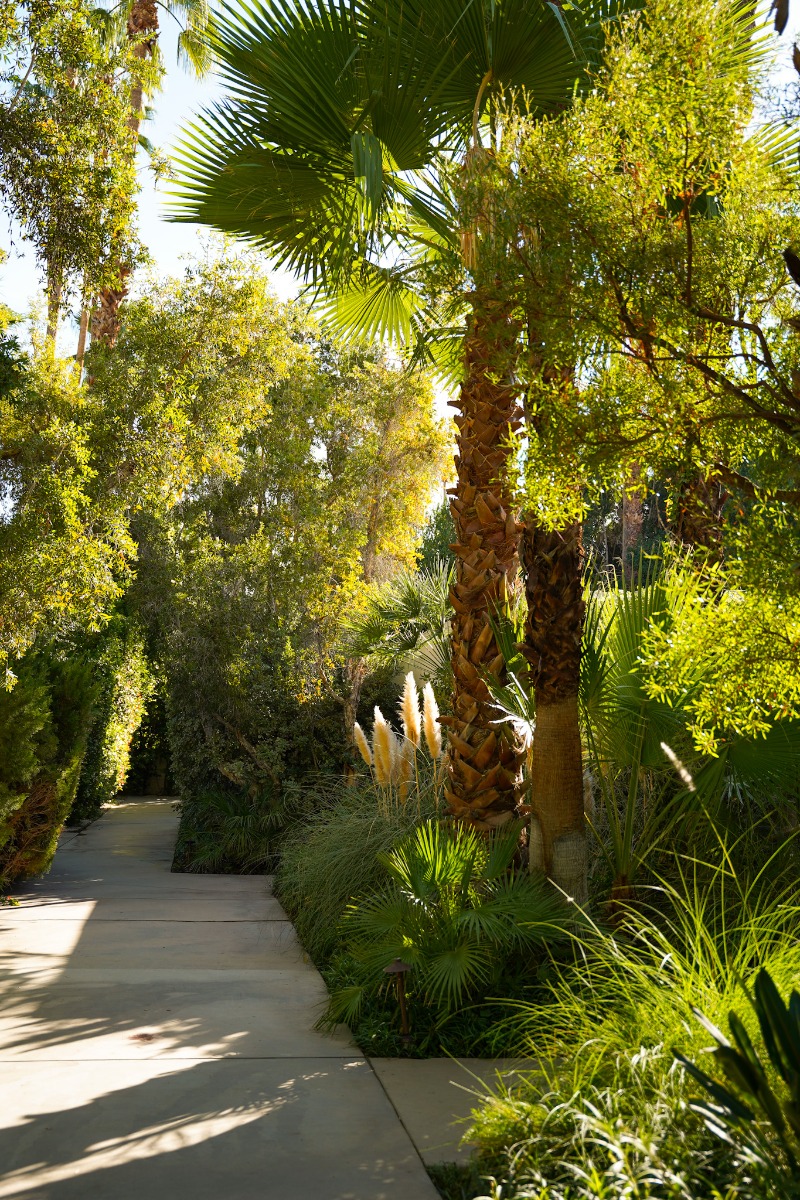 Palm Springs Just Got Hotter A Luxury Travel Guide to the Desert's Best Stays, Eats, and Activities - Image credit Christina-Lauren Pollack - Parker Palm Springs