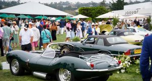 Copy Nothing: A Conversation with Jaguar's Brand Director About Their Bold & Daring Reinvention - Image credit Christina-Lauren Pollack